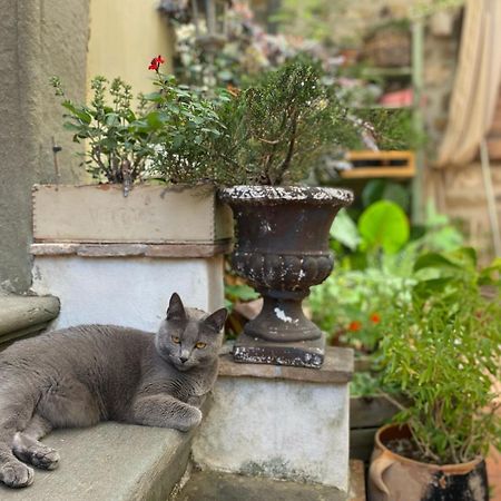 La Magione Dei Todaro Borgo a Buggiano Eksteriør billede