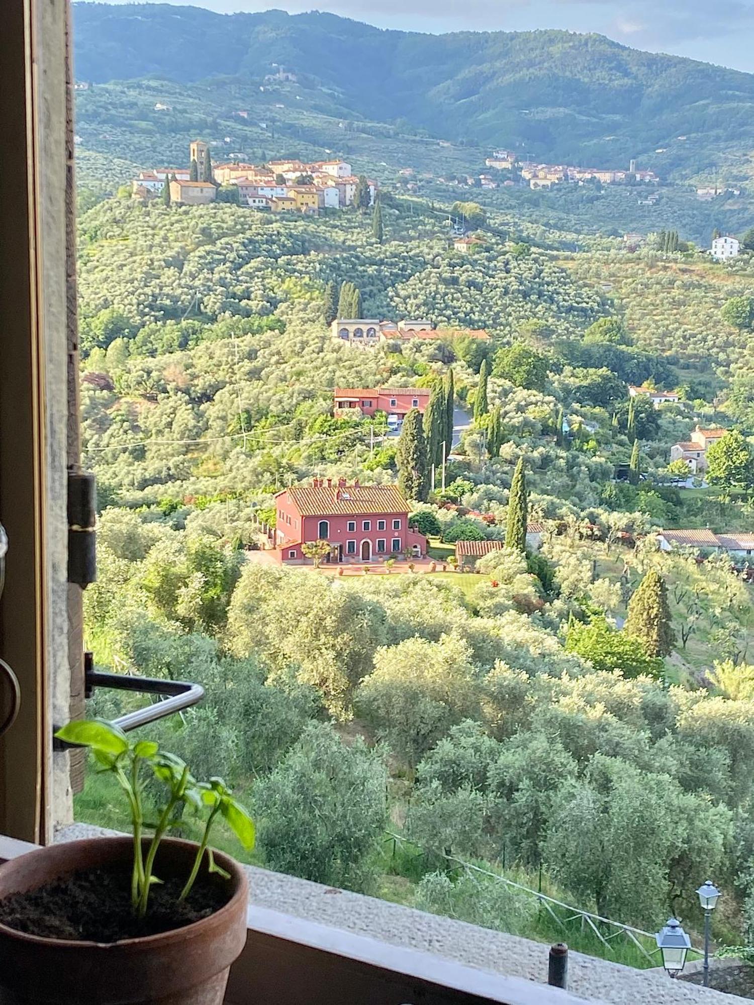 La Magione Dei Todaro Borgo a Buggiano Eksteriør billede